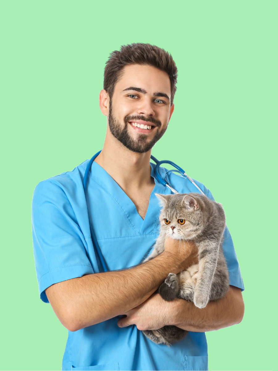 Doctor_Bums_Vet_green_3x4_03c7ced2-7a64-466b-8555-247d8b06c836.png