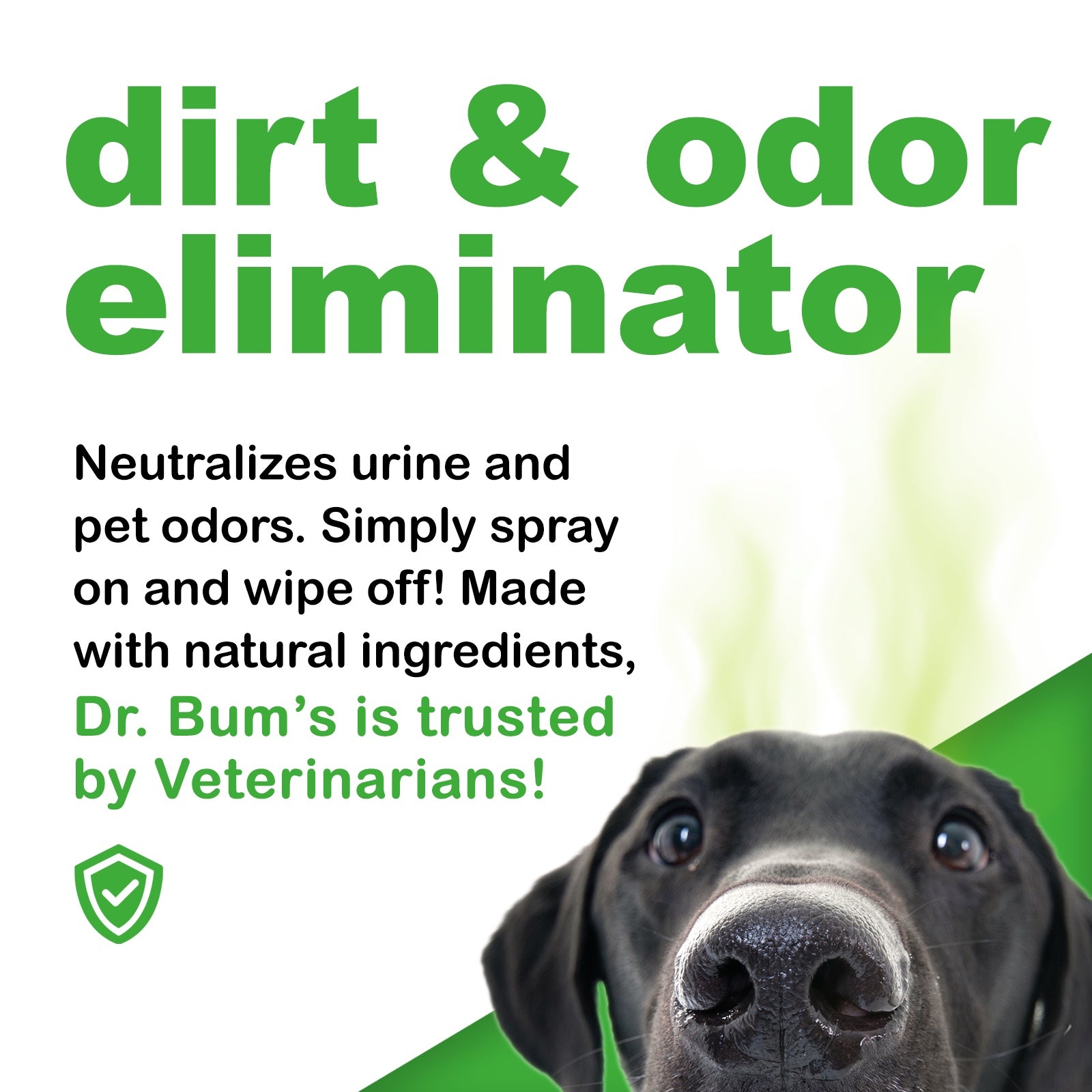 All Animal Dirt and Odor Eliminator